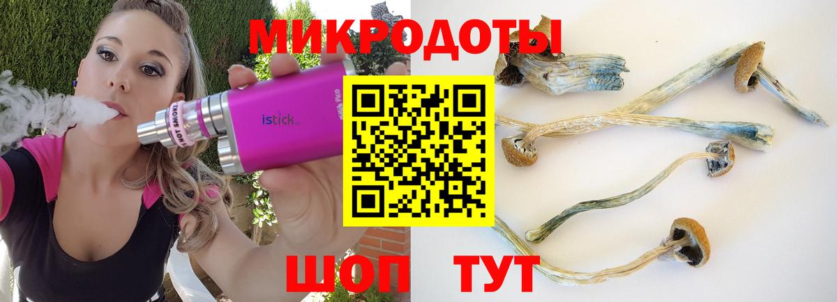 Галлюциногенные грибы мухоморы  что такое наркотик  Димитровград  Вход с VPN 